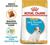 Royal Canin Jack Russell Terrier Puppy nourriture sèche pour chiots jusqu'à 10 mois, race jack russell terrier 3kg