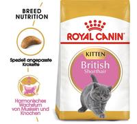 Royal Canin British Shorthair Kitten croquette pour chat 2 kg Chatons Volaille, Riz, Légumes