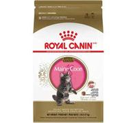 ROYAL CANIN-Croquette pour chaton et chatte adulte en gestation Maine Coon Royal Canin - 2 kg
