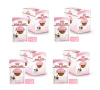 Royal Canin Kitten Nourriture Humide | Pack de 4 | 4 x 12 x 85g | Morceaux Fins en Sauce | Aliment Complet pour Chatons| Spécialement conçu pour Les chatons12 Mois