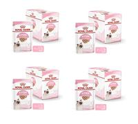 Royal Canin Kitten | Pack de 4 | 4 x 12 x 85 g | Nourriture Humide pour Chatons | avec de Fins Morceaux en gelée | Convient Pendant la deuxième Phase de Croissance jusqu'à 12 Mois