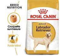 Royal Canin - 35298 - Nourriture pour labrador - 12 kg