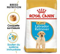 ROYAL CANIN SHN Breed Labrador Junior croquettes pour chien - 12 kg.