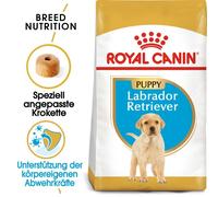 ROYAL CANIN Labrador Retriever Puppy Junior nourriture sèche pour chiots jusqu'à 15 mois, race labrador retriever 24 kg (2 x 12 kg)