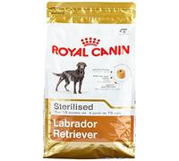 Labrador Retriever 30 ""Sterilised"" - Royal Canin