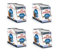 Royal Canin Light Weight Care en gelée | Pack de 4 | 4 x 12 x 85 g | Nourriture Humide pour Chats | pour Soutenir Les Chats en surpoids | Contient du Fer, du manganèse et du Zinc