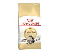 Royal Canin Chat Maine Coon 31 Adult 2 kg
