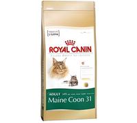 ROYAL CANIN Maine Coon Adult 10kg + surprise pour votre chat GRATUITES !
