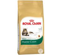 ROYAL CANIN Maine Coon Adult 10kg + surprise pour votre chat GRATUITES !
