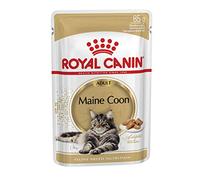 Royal Canin Maine Coon Adult | 12 x 85 g | Aliment humide pour chats | Spécialement adapté aux besoins des chats Maine Coon | Teneur énergétique adaptée
