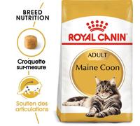Royal Canin Maine Coon Adult – Croquettes pour chats, soutien articulations et os – 400 g