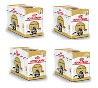 Royal Canin Maine Coon Adult | Pack de 4 | 4 x 12 x 85 g | Aliment Humide pour Chats | Spécialement adapté aux Besoins des Chats Maine Coon | Teneur énergétique adaptée