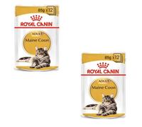 Royal Canin Maine Coon Adult | Pack Double | 2 x 12 x 85 g | Aliment Humide pour Chats | Spécialement adapté aux Besoins des Chats Maine Coon | Teneur énergétique adaptée