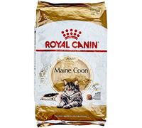 ROYAL CANIN Maine Coon Adult 10kg + surprise pour votre chat GRATUITES !