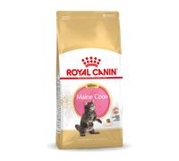 ROYAL CANIN Maine Coon Kitten 10kg