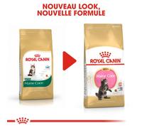 Royal Canin Kitten Maine Coon Nourriture pour Chat 2 kg