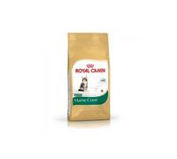 Royal canin - maine coon kitten - 2 kg
