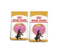 ROYAL CANIN Maine Coon Kitten 2 x 10 kg