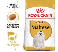 ROYAL CANIN Maltese Adult 500 g