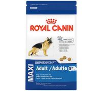 Royal Canin Maxi Adult 5 +