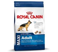Royal Canin Maxi Adult Lot de 2 sacs de 15 kg croquettes pour chiens de grande taille (26-45 kg)