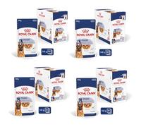 Royal Canin Maxi Adulte – 10 x 140 g