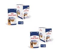 Royal Canin Maxi Ageing 8+ pour chien 10x140g