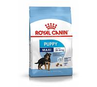 Royal Canin Maxi Junior Nourriture pour Chien 4 kg