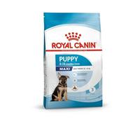 Royal Canin - Maxi Junior - Nourriture pour chien - Grandes races - 1 x 10 kg