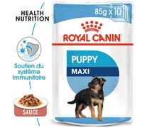 Royal Canin Sachets pour chiot Maxi Puppy – Bouchées en sauce – 10 x 140 g