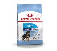 ROYAL CANIN Maxi Puppy 2 x 1 kg, croquettes pour chiots de 2 à 15 mois, grandes races