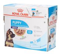 Royal Canin Sachets pour chiot Maxi Puppy – Bouchées en sauce – 10 x 140 g
