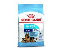 ROYAL CANIN - Maxi Starter Contenances : 4 kg