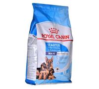 ROYAL CANIN - Maxi Starter Contenances : 4 kg