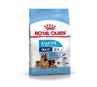 ROYAL CANIN Maxi Starter Mother & Babydog 4 kg
