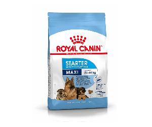 ROYAL CANIN Maxi Starter Mother & Babydog 4 kg