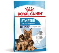 Royal Canin Maxi Starter Mother & Babydog pour Chien et Chiot 4kg