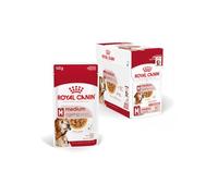 Royal Canin Medium Ageing 10+ | 10 x 140 g | Nourriture humide pour chiens de taille moyenne (11 à 25 kg) | À partir de 10 ans | Pour soutenir le vieillissement en bonne santé