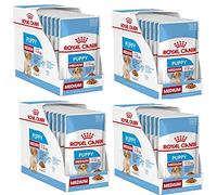 Royal Canin Medium Puppy | Pack de 4 | 4 x 10 x 140 g | Nourriture Humide pour Chiots de Taille Moyenne | Jusqu'à 12 Mois | pour Le Soutien du Cerveau | Morceaux en Sauce