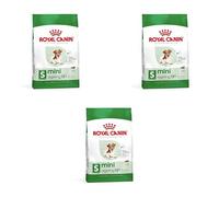 Royal Canin Mini Ageing 12 + | Pack de 3 | 3 x 800 g | Aliment Complet pour Petits Chiens jusqu'à 10 kg | À partir de 12 Ans | Peut Soutenir la santé rénale