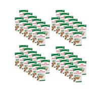 Royal Canin – Mini Ageing 12+ – 12 x 85 g