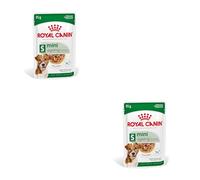 ROYAL CANIN Mini Ageing 12+ 12x85g