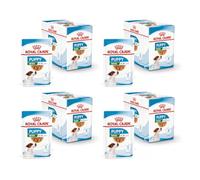 ROYAL CANIN Mini Puppy | Pack de 4 | 4 x 12 x 85 g | Nourriture Humide pour Chiots de Petites Races | Jusqu'à 10 Mois | Petits Morceaux en Sauce | Texture Douce pour Les Dents de Lait