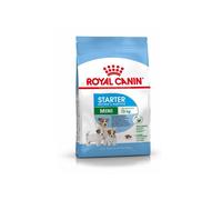 ROYAL CANIN Mini Starter Mother & Babydog 8kg aliments secs pour chiennes enceintes et allaitantes et chiots, 4 à 8 semaines, petites races