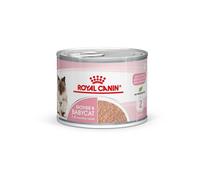 Royal Canin Mousse Mother & Babycat - Aliment complet pour chats - 195 g