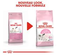 ROYAL CANIN Mother & Babycat 4kg x2