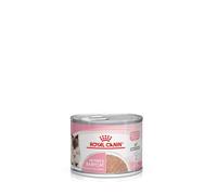 Royal Canin Mother And Babycat Mousse Ultra Tendre 12x195g