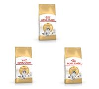 Royal Canin Norwegian Forest Cat Adult | Pack de 3 | 3 x 400 g | Aliment Complet pour Chats Adultes de la Race Norwegian Forest | À partir de 12 Mois | Peau Saine et Pelage Magnifique
