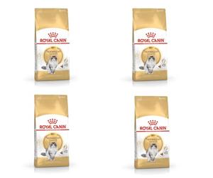 Royal Canin Norwegian Forest Cat Adult | Pack de 4 | 4 x 400 g | Aliment Complet pour Chats Adultes de la forêt norvégienne | À partir de 12 Mois | Peau Saine et Beau Pelage