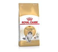 Royal Canin NORWEGIAN FOREST CAT ADULT Sac de 10 kg